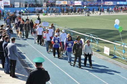 Кинологический праздник «Фестиваль собак всех пород» в Новосибирске