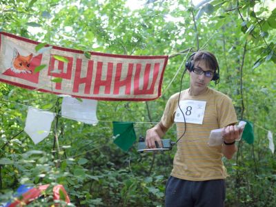 В лесном массиве «переловили всех лис»